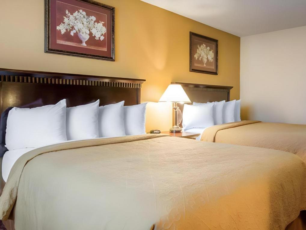 Quality Inn Сан-Бернардино Экстерьер фото